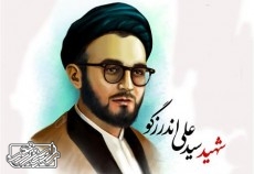 مروری بر فعالیت های مبارزاتی روحانی شهید، سید علی اندرزگو